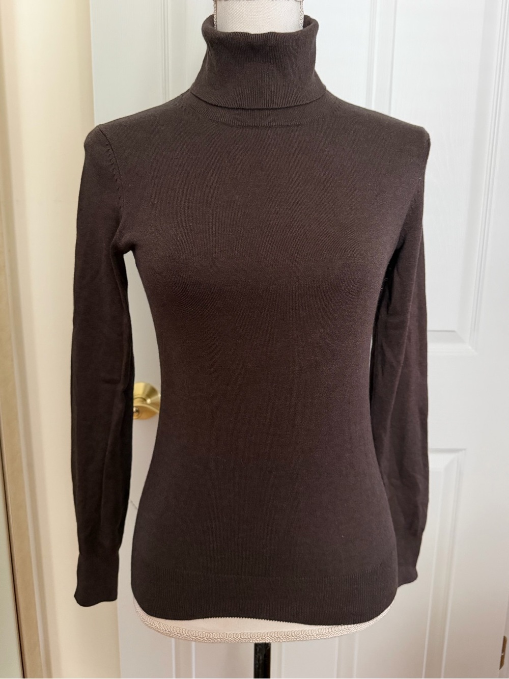 Banana Republic Brown Turtleneck
Sweater